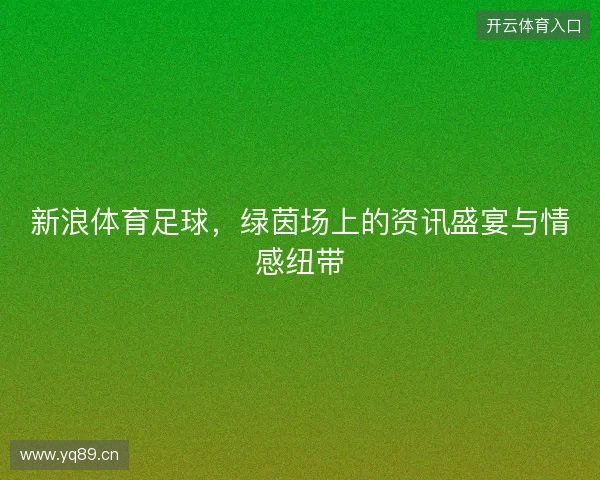 新浪体育足球，绿茵场上的资讯盛宴与情感纽带